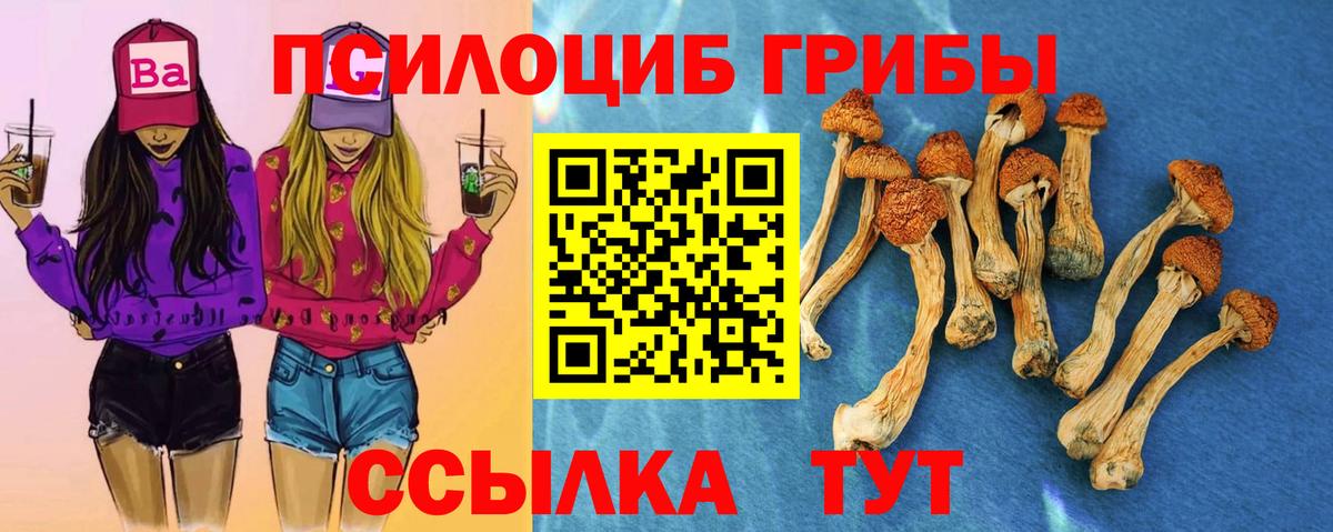 Псилоцибиновые грибы мухоморы  Вход с VPN  Тимашёвск 