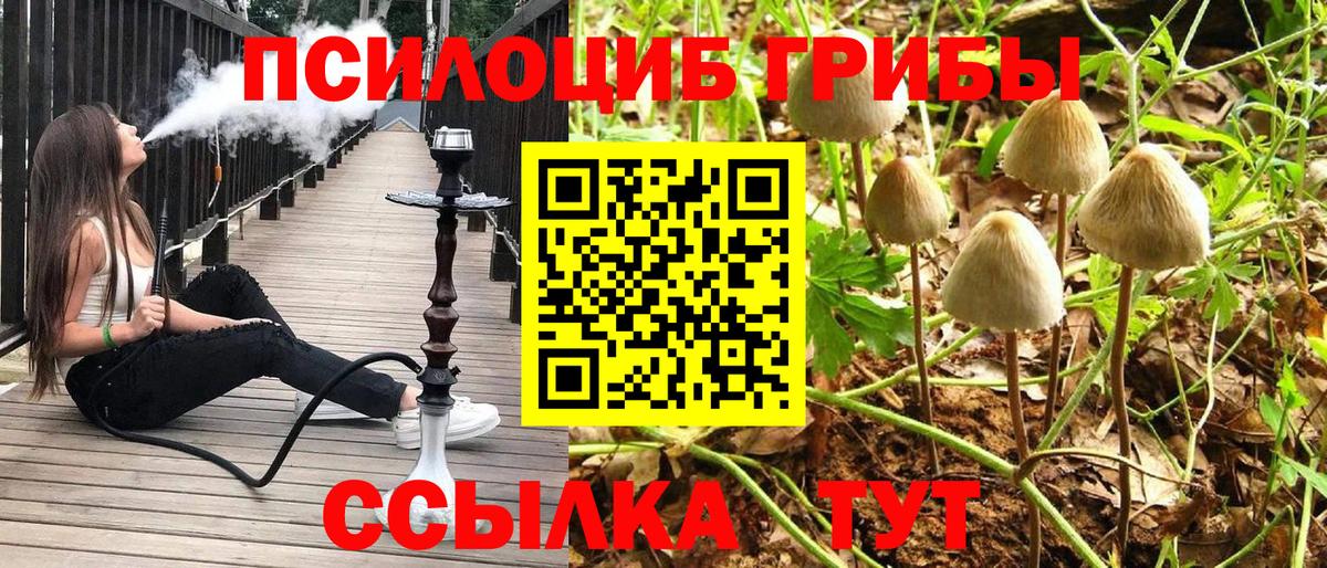Галлюциногенные грибы GOLDEN TEACHER Тимашёвск